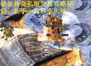 最新传奇私服交易攻略秘籍：新手小白秒变大神