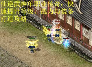 仙逆武神单职业传奇：快速提升等级、战力与装备打造攻略