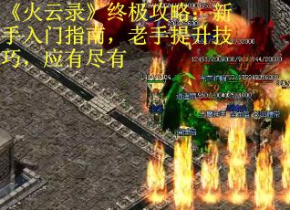 《火云录》终极攻略：新手入门指南，老手提升技巧，应有尽有