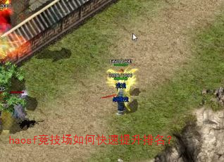 haosf竞技场如何快速提升排名? haosf竞技场如何快速提升排名?
