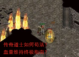 传奇道士如何苟活?血量维持终极指南? 传奇道士如何苟活?血量维持终极指南?