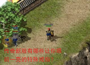 传奇新服有哪些让你眼前一亮的特殊戒指? 传奇新服有哪些让你眼前一亮的特殊戒指?