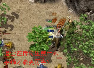 道士在传奇里戴什么手镯才能更厉害? 道士在传奇里戴什么手镯才能更厉害?