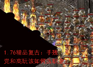 1.76��Ʒ���ţ��ֲе��͸�������ѡְҵ��