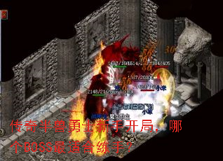 传奇半兽勇士新手开局,哪个BOSS最适合练手? 传奇半兽勇士新手开局,哪个BOSS最适合练手?