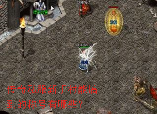 传奇私服新手村能搞到的称号有哪些? 传奇私服新手村能搞到的称号有哪些?