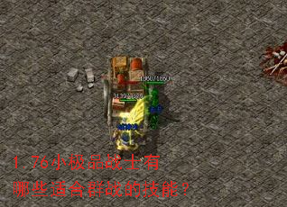 1.76小极品战士有哪些适合群战的技能? 1.76小极品战士有哪些适合群战的技能?