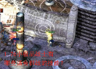 1.76小极品战士有哪些适合群战的技能? 1.76小极品战士有哪些适合群战的技能?
