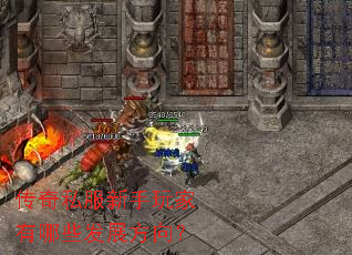 传奇私服新手玩家有哪些发展方向? 传奇私服新手玩家有哪些发展方向?