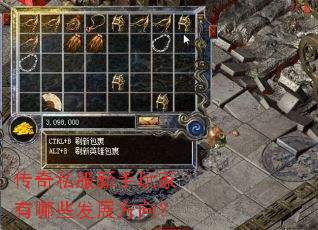 传奇私服新手玩家有哪些发展方向? 传奇私服新手玩家有哪些发展方向?