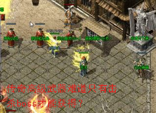 ����߼������ѵ�ֻ�л�ɱboss���ܻ�ã�