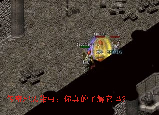 传奇邪恶钳虫:你真的了解它吗? 传奇邪恶钳虫:你真的了解它吗?