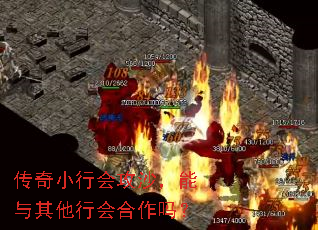 传奇小行会攻沙,能与其他行会合作吗? 传奇小行会攻沙,能与其他行会合作吗?