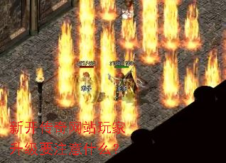 新开传奇网站玩家升级要注意什么? 新开传奇网站玩家升级要注意什么?