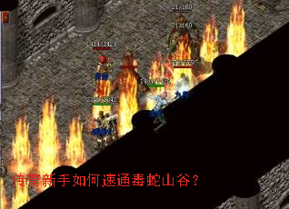 传奇新手如何速通毒蛇山谷? 传奇新手如何速通毒蛇山谷?