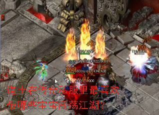 道士在传奇私服里最喜欢带哪些宝宝闯荡江湖? 道士在传奇私服里最喜欢带哪些宝宝闯荡江湖?