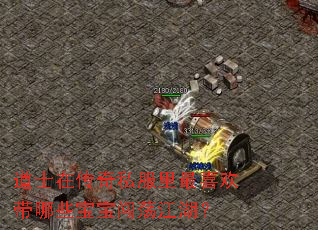 道士在传奇私服里最喜欢带哪些宝宝闯荡江湖? 道士在传奇私服里最喜欢带哪些宝宝闯荡江湖?