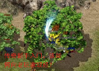 传奇新手入门,该如何向老玩家取经? 传奇新手入门,该如何向老玩家取经?
