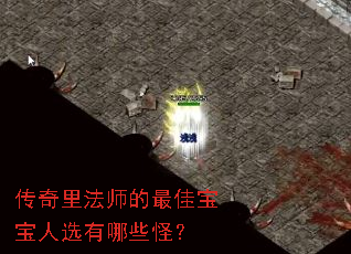 传奇里法师的最佳宝宝人选有哪些怪? 传奇里法师的最佳宝宝人选有哪些怪?