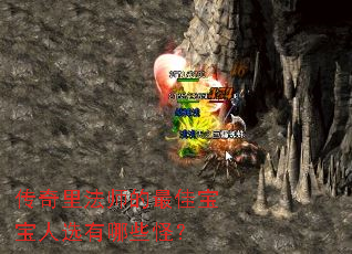 传奇里法师的最佳宝宝人选有哪些怪? 传奇里法师的最佳宝宝人选有哪些怪?