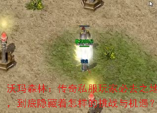 沃玛森林:传奇私服玩家必去之地,到底隐藏着怎样的挑战与机遇? 沃玛森林:传奇私服玩家必去之地,到底隐藏着怎样的挑战与机遇?