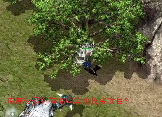 传奇交易行有哪些常见收费项目? 传奇交易行有哪些常见收费项目?