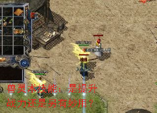 兽灵术技能:是提升战力还是另有妙用? 兽灵术技能:是提升战力还是另有妙用?