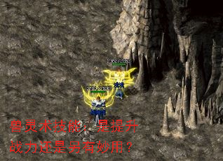 兽灵术技能:是提升战力还是另有妙用? 兽灵术技能:是提升战力还是另有妙用?