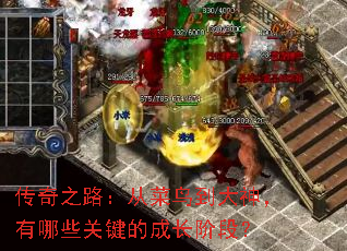 传奇之路:从菜鸟到大神,有哪些关键的成长阶段? 传奇之路:从菜鸟到大神,有哪些关键的成长阶段?