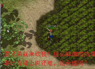 是兄弟就来砍我?极品麻痹戒指爆率比母猪上树还难,这合理吗? 是兄弟就来砍我?极品麻痹戒指爆率比母猪上树还难,这合理吗?