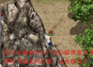 是兄弟就来砍我?极品麻痹戒指爆率比母猪上树还难,这合理吗? 是兄弟就来砍我?极品麻痹戒指爆率比母猪上树还难,这合理吗?