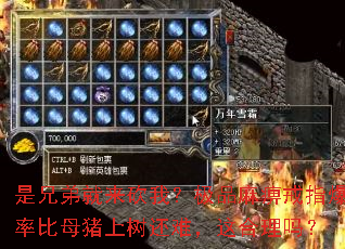 是兄弟就来砍我?极品麻痹戒指爆率比母猪上树还难,这合理吗? 是兄弟就来砍我?极品麻痹戒指爆率比母猪上树还难,这合理吗?