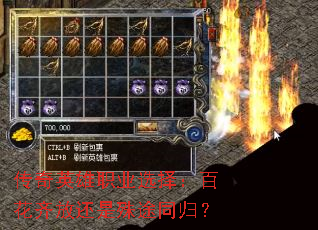 ����Ӣ��ְҵѡ�񣺰ٻ���Ż�����;ͬ�飿