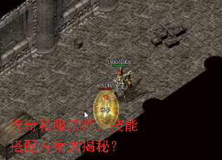 传奇私服法师:技能搭配方案大揭秘? 传奇私服法师:技能搭配方案大揭秘?
