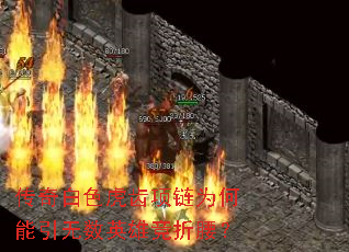 传奇白色虎齿项链为何能引无数英雄竞折腰? 传奇白色虎齿项链为何能引无数英雄竞折腰?