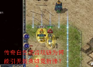 传奇白色虎齿项链为何能引无数英雄竞折腰? 传奇白色虎齿项链为何能引无数英雄竞折腰?