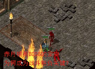 赤月精英BOSS的宠物为何成为战斗胜负关键? 赤月精英BOSS的宠物为何成为战斗胜负关键?