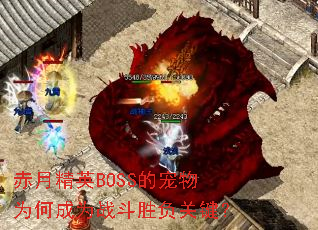 赤月精英BOSS的宠物为何成为战斗胜负关键? 赤月精英BOSS的宠物为何成为战斗胜负关键?