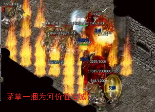 茅草一捆为何价值连城? 茅草一捆为何价值连城?