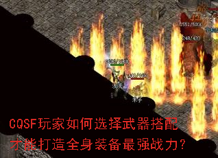 CQSF玩家如何选择武器搭配才能打造全身装备最强战力? CQSF玩家如何选择武器搭配才能打造全身装备最强战力?