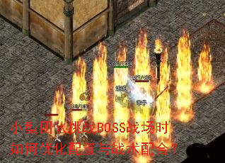 小型团队挑战BOSS战场时如何优化配置与战术配合? 小型团队挑战BOSS战场时如何优化配置与战术配合?