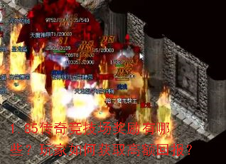 1.85传奇竞技场奖励有哪些?玩家如何获取高额回报? 1.85传奇竞技场奖励有哪些?玩家如何获取高额回报?