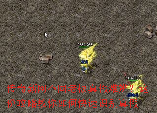 传奇新网不同老板真假难辨?这份攻略教你如何快速识别真假 传奇新网不同老板真假难辨?这份攻略教你如何快速识别真假