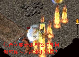 传奇私服开服刷怪时如何调整属性才能事半功倍? 传奇私服开服刷怪时如何调整属性才能事半功倍?