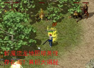 新魔法龙地图精英怪存在吗?真相大揭秘 新魔法龙地图精英怪存在吗?真相大揭秘