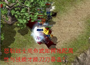 怒斩战士高命武如何搭配属性与技能才能刀刀暴击? 怒斩战士高命武如何搭配属性与技能才能刀刀暴击?