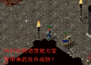 PK时如何防范敌方宝宝带来的致命威胁? PK时如何防范敌方宝宝带来的致命威胁?