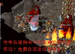 传奇私服狗书不花钱真的无法获得吗?免费获取途径有哪些? 传奇私服狗书不花钱真的无法获得吗?免费获取途径有哪些?