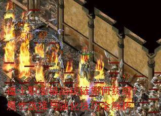 ��ʿְҵ��Ʒ������λ�ȡ������ѡ����ǿ������ȫ����