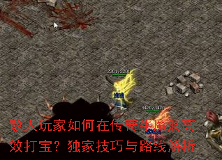 散人玩家如何在传奇牛魔洞高效打宝?独家技巧与路线解析 散人玩家如何在传奇牛魔洞高效打宝?独家技巧与路线解析